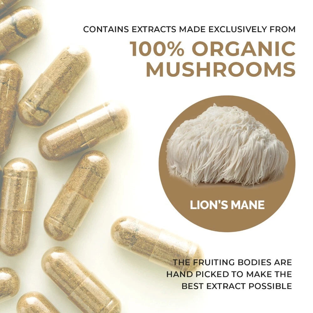 Real Mushrooms Organic Lion’s Mane – 120 Capsules for Wellness